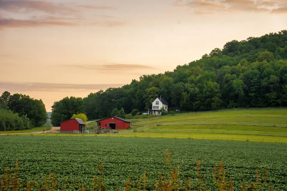 Farmhouse and two red barns beside a green field at sunset